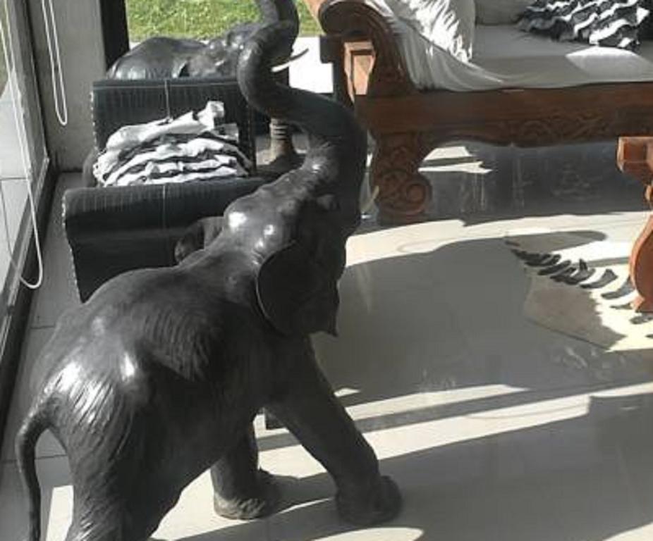 Bali 3* San Gregorio de Polanco